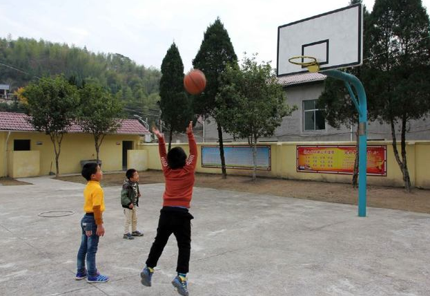 著重學情是教育設計的出發點詳案必躬親板書構系統講評貴透徹
